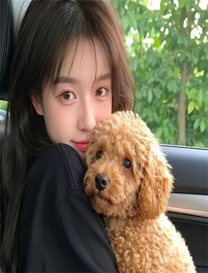 从动作片角度解读端盘子的姑娘：的创作历程与幕后故事 ——带你领略动作片的魅力